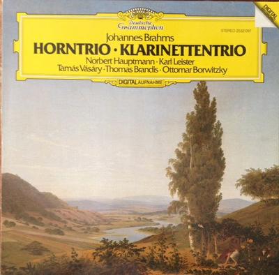 LP Record NORBERT HAUPTMANN KARL LEISTER TA Brahms Horntrio Klarinettentrio 2532097 DEUTSCHE GRAMM 1983 Germany Classical Used