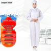 Cleanroom Anti-Static & Dust-Proof Protective Gear