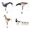 Rooster And Duck Theme Garden Yard Art Pvc Outdoor Decor With Printed Design For Lawn And Patio Use