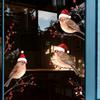 Christmas Can Be Decorated with Hats, Birds, Red Fruit Branches and Christmas Stickers