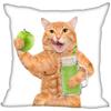 Bedroom Home Office Decor Pillowcase Square  Funny Cat Animal