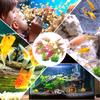2 Pcs Aquarium Plants Large Fish Tank Decorations Vibrant Colored Easy Clean Artificial Stable Base L Scape Tools Terrarium