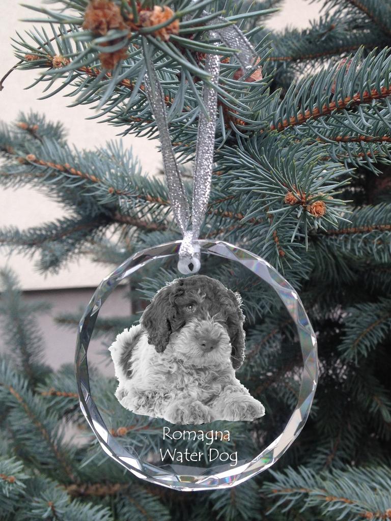 Romagna Water Dog - Crystal Bauble with a Photo, Dog Photo In Crystal, Personalized Christmas Tree Ornament by Art-Dog Brand