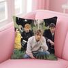 BBlur Cushion Cover Pillow Case Soft Friendly Fabric  Concealed Zipper