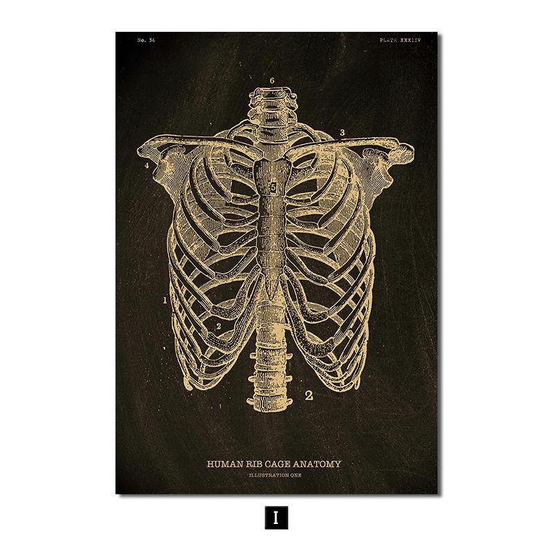 

Анатомия человека, винтажный постер, скандинавский холст, художественный принт, золотой скелет, органы, живопись, настенные панно, медицинский домашний декор 40x50cm No Frame