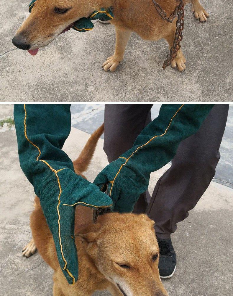 Rukavice proti kousání pro domácí mazlíčky: Rukavice odolné proti poškrábání, odolné proti roztržení, prodloužené délky, měkké rukavice pro výcvik a koupání koček a psů