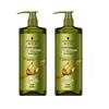 Schwarzkopf Ginger Essence Oil Control Anti-Dandruff Shampoo Twin Pack