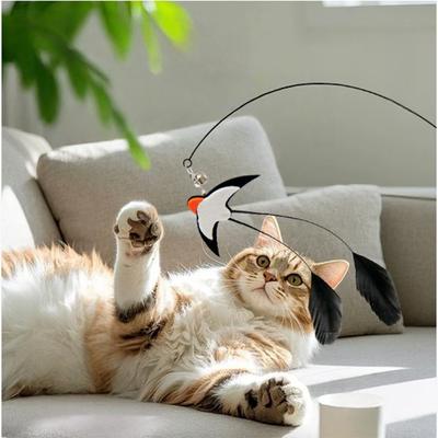 Katter – Kattleksaker
