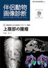 Companion Animal Imaging Diagnosis No.39 Special Feature: Diagnostic Approach Series Based On Imaging Findings Intraperitoneal Masses