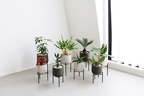 KINTO Plant Pot 211_ 160mm Dark Gray Stand Type Pot 29235