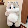 Cute big-eyed cat doll plush toy soothes and sleeps with golden gradient cat doll