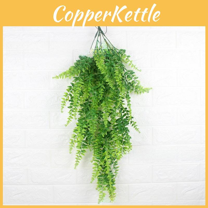 Pteridium Plant Latiusculum For Wedding And Outdoor Decorate Events