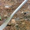 New Garlic Digging Shovel Agricultural Stainless Steel Flower Shovel Gardening Weeding Dig Herbs Shovel Garden Tool