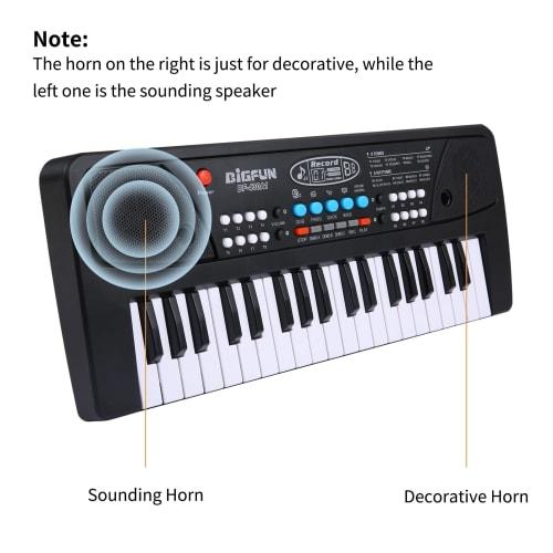 Btuty USB Electronic Organ, Electric Piano with Microphone, Black Digital Music Keyboard with Built-in Stereo Speaker, 16 Tones, 8 Rhythms, 6 Demo Son
