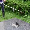 Simplified Tool Connectivity Extension Pole Connector Designed To Fit Garden Equipment With A Shaft Size Of Either 26 Or 28 Mm