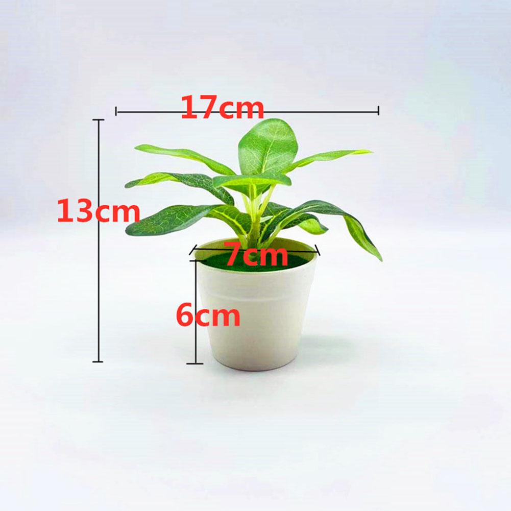 

Decorative Fake For Mini Bonsai Tree for Office Desk with Lifelike Appearance for Conference Room or Reception Area