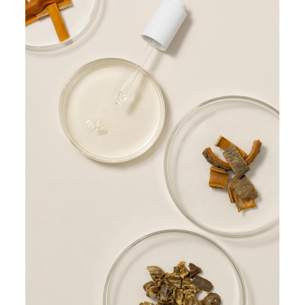 Oxygenceuticals Herbal Fluid 50ml