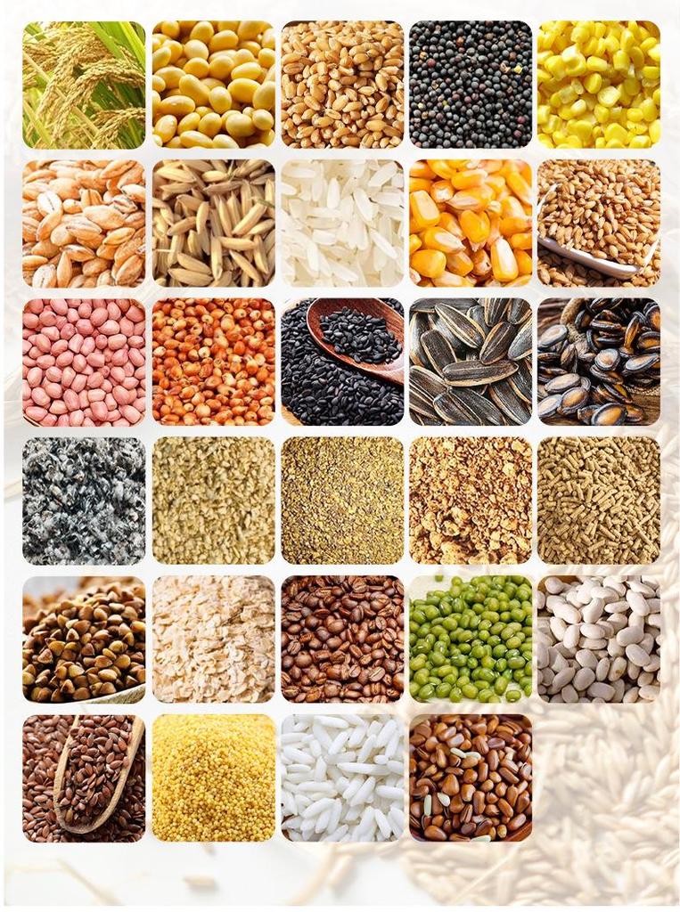 Digital Grain Moisture Meter: Cereal, Rice, Wheat, Corn, Coffee Bean Water Content Tester