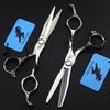6.0 Inch C5-60 Hair Scissors, Hair Scissors, Flat Scissors, Bangs Scissors, Tooth Scissors, Thin Bearing Scissors