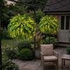 24 Leaves Glowing Boston Ferns with Lights Plastic Warm Light Lighted Boston Fern Plant Long-Lasting Realistic