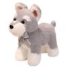 Verkauf Süßer Zwergschnauzer Hund Plüschtier Weiches Simulations-Stofftier Spielzeug Für Jungen Niedliche Po Requisiten Mädchen Geburtstagsgeschenk 30cm