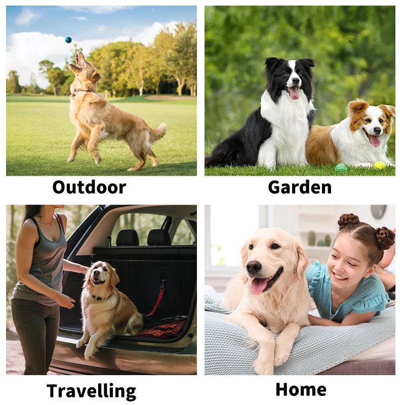 Cross-Border Pet Supplies: Disposable Pet Cleaning Wipes Gloves for Cats and Dogs, Safe to Lick