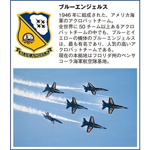 Citizen PROMASTER Eco-Drive Radio-Controlled Watch, Sky Series, Limited Edition Blue Angels Model, JY8031-56L, Men's