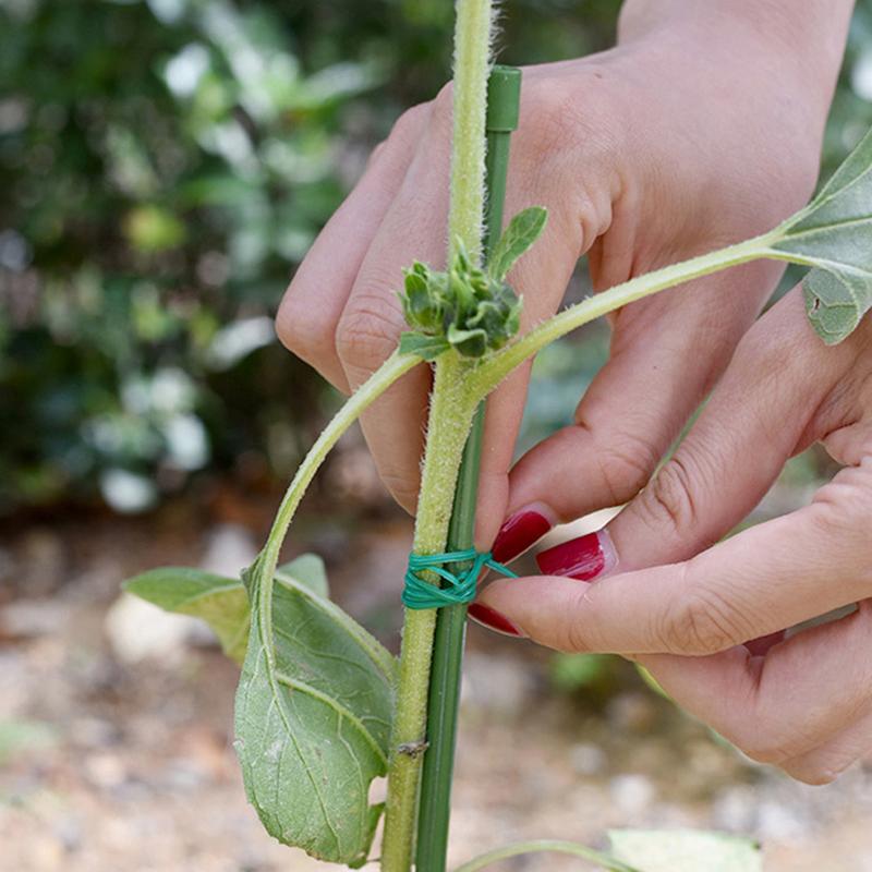 100M zahradní flexibilní vázací drát na rostlinné úvazy, železné dráty, podpora pevných popínavých rostlin, liána, stabilizační úvaz na zeleninu