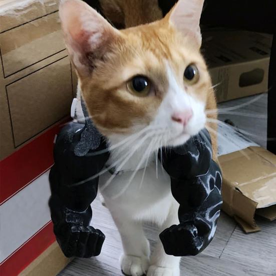 Braț Muscular de Pisică Braț de Gât Imprimat 3D cu Mușchi Animal de Companie Accesorii Costum Cosplay pentru Halloween Consumabile pentru Petrecere de Ziua de Naștere