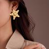 Stud Earrings, Stainless Steel Titanium Steel Five-Pointed Star Hammered Pattern Fashionable Versatile Exquisite