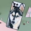 Animal Wolf Dog Husky For Samsung Galaxy M23 M12 M13 M14 M15 M35 M55 M34 M54 M33 M53 M31 M11 M32 M52 M06 M16 Case