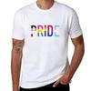 Pride Various Queer Flags 1 Tshirt Cotton Tshirt 100 Tshirt