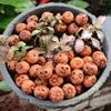20Pcs Miniature Resin Pumpkins For Decorating Halloweenparty Gifts Home Garden Decoration Craft Diy