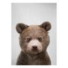 Realistic Furry Animals Cute Prints Poster Canvas Painting Hd Modern Wall Art Pictures For Living Room Bedroom Home Decoration