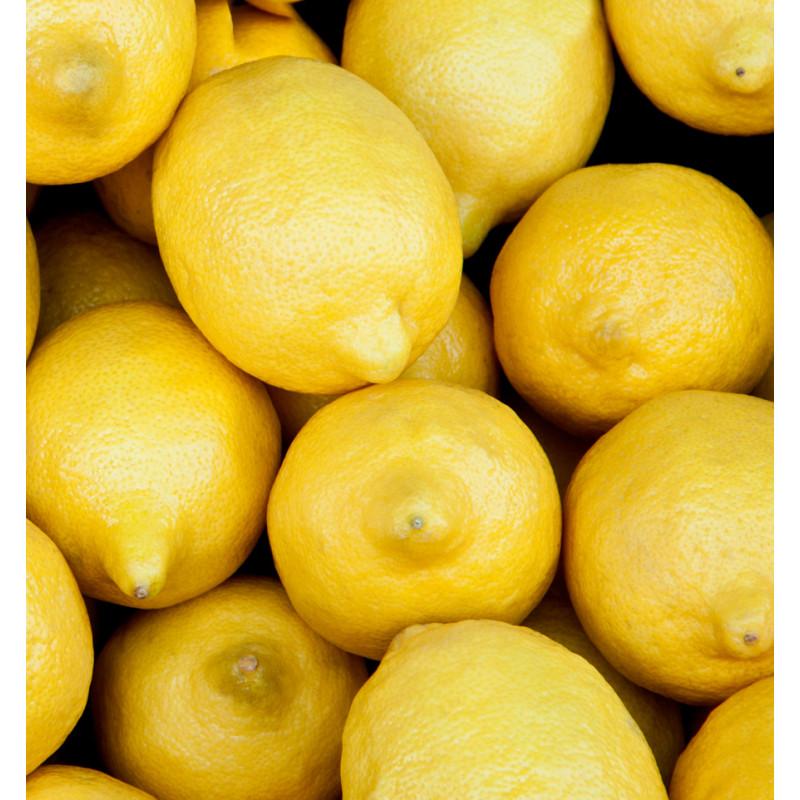 Yodeyma L'eau De Berlue Acqua Profumata Per Donna 100ml