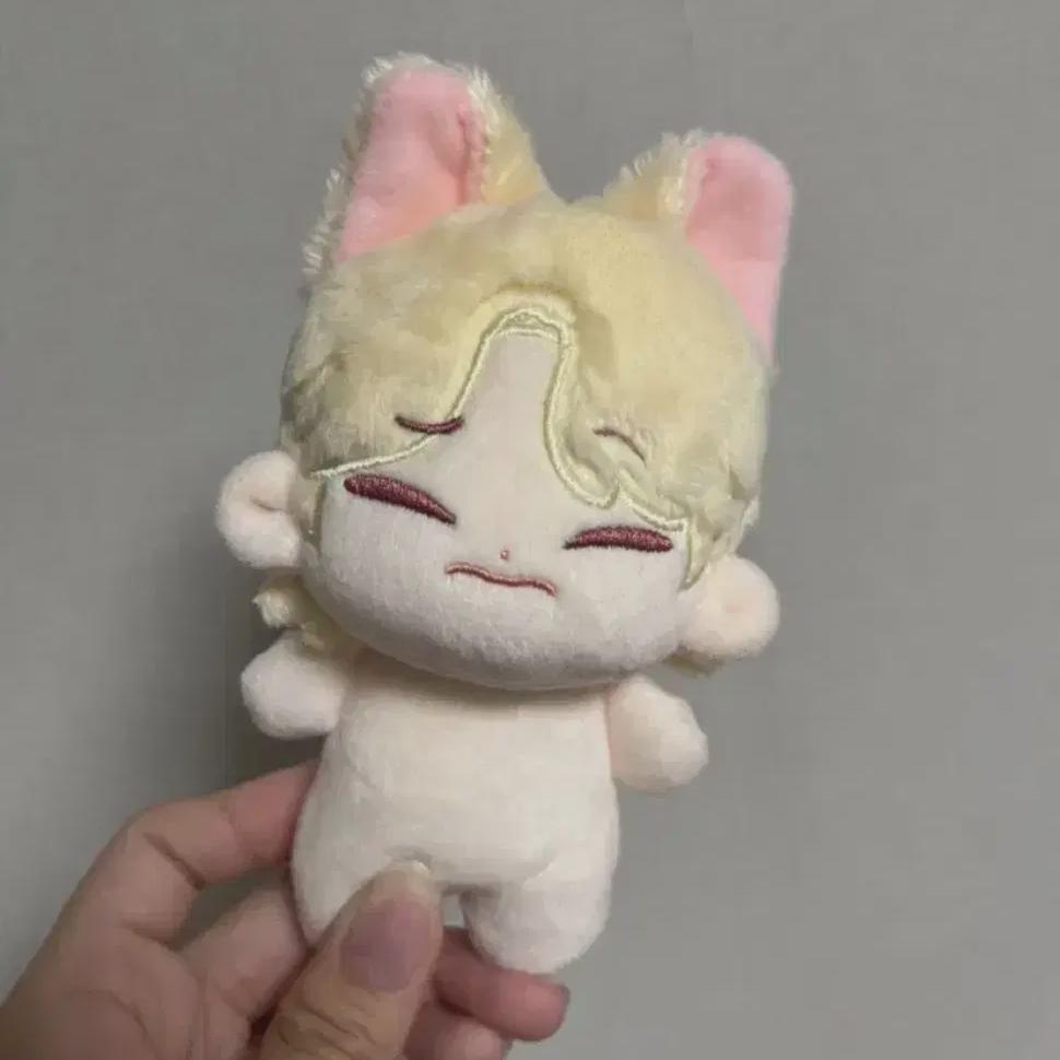 

Ski s Cookie Kids In Doll Ski Zoo Stray Kids Foca