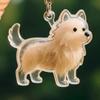 Transparent Cat Dog Hair Storage Box Pendant Keychain Collect Pets Hair Commemorate Bag Pendant Save Cat Hair Storage Capsule