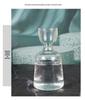 Transparent High Borosilicate Glass Hydroponic Avocado Seed Growing Vase