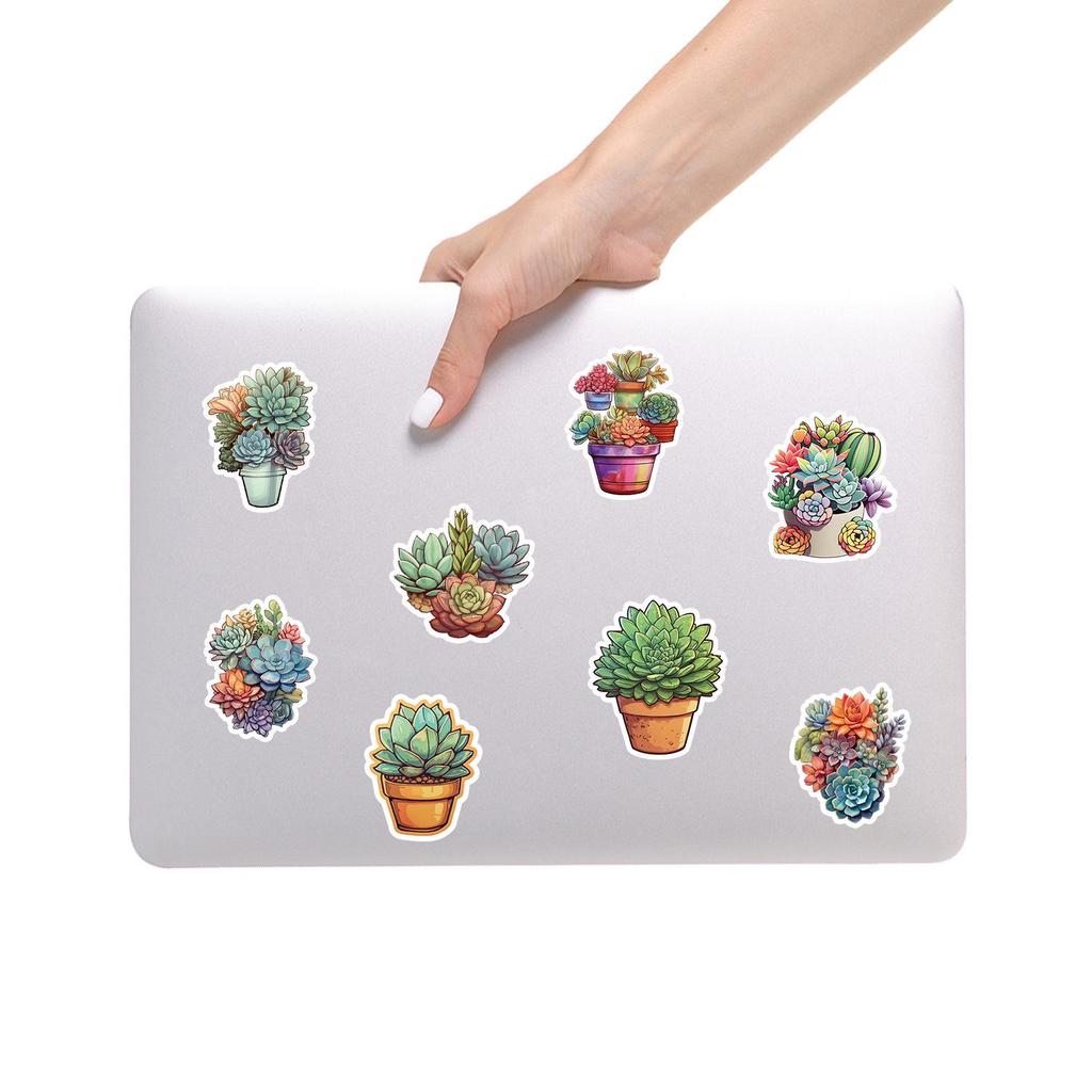 100 Waterproof Succulent Graffiti Stickers for Suitcases, Computers, and Guitars