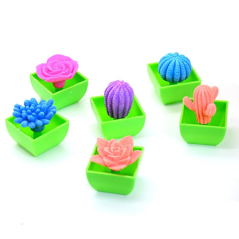 Buy 5pcs Growing In Water Flower Cactuse Bonsai Plant Toy Magic Toys