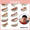 Funny Halloween Prank Dentures Vampire Teeth Makeup Prop Direct Factory Sale 12kjya
