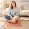 Slow Feeder Dog Bowl Mat Silicone Pet Feeding Tray Non Slip Durable Design for Preventing Choking and Promoting Healthy Eating Habits