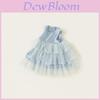 Girl Girl Princess Dress With Tulle Skirt For Summer Kids Party Wear
