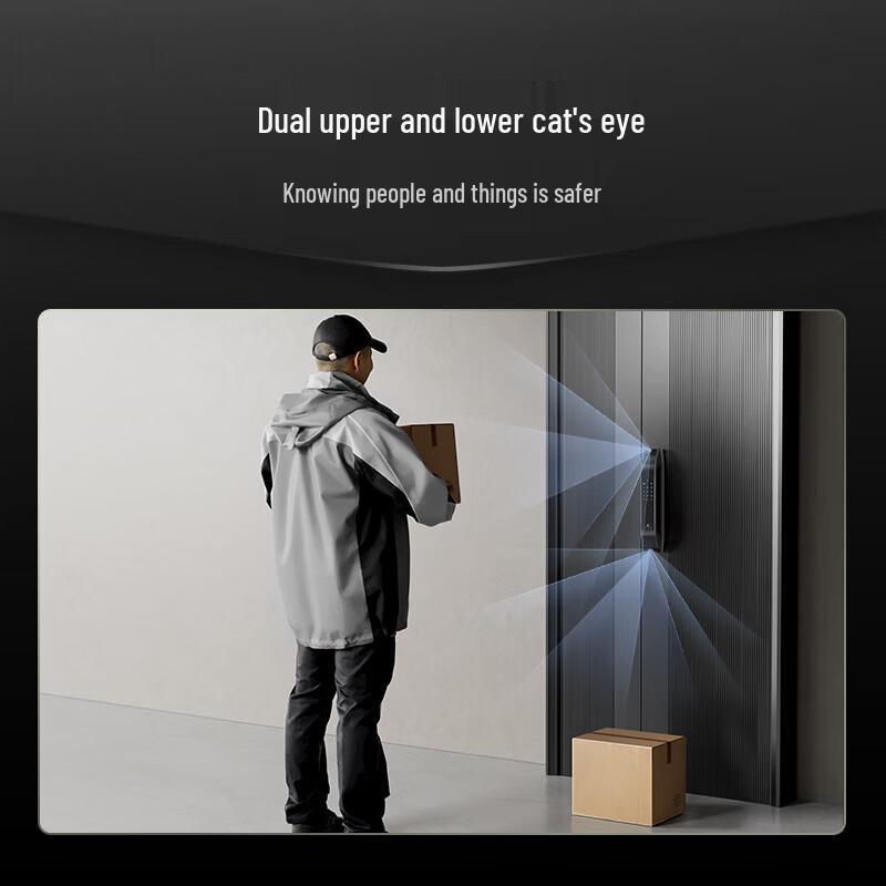 DESMAN Q5FPro 3D Face Recognition Smart Door Lock