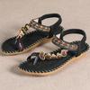 Fashion Women's Sandals Bohemia Style Sandals Summer New Shoes for Woman Flip Flops Beach Summer Shoes Women Low Heels Footwear