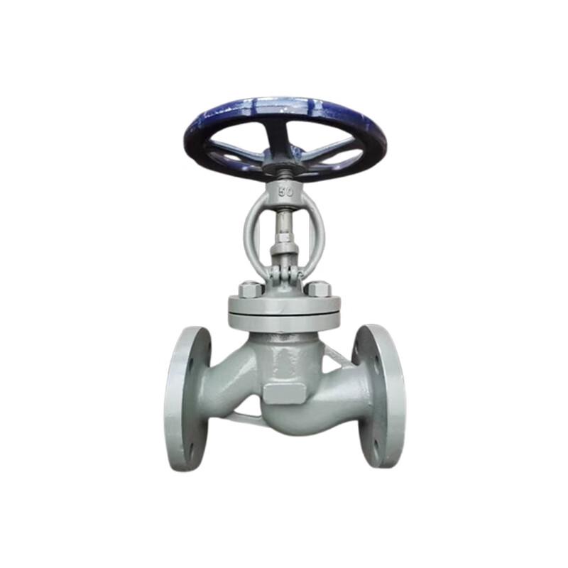 Runhong Cast Steel Flange Globe Valve