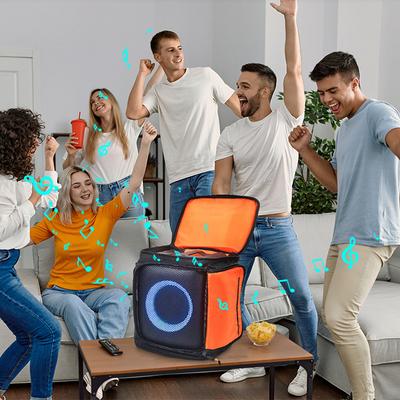 Audio - video příslušenství – Kufry a tašky pro přenosné reproduktory