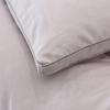 Antibacterial Soft Velvet Winter Quilt