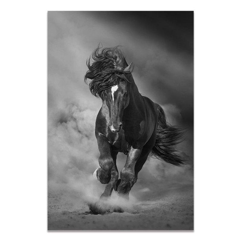 Cheap Animals Canvas Painting Wall Art Lion Elephant Horse Posters and