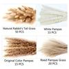 100pcs/set Dried Pampas Grass Natural Dried Rabbit Tail Grass-Elegant Forever Flower Decoration Outdoor Home Festive Decor